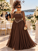 Brown / US Size 14 - Large